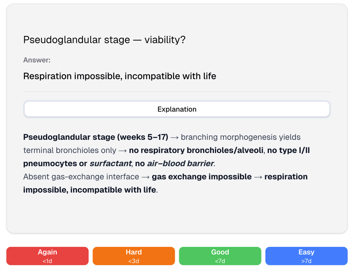 Flashcards Interface